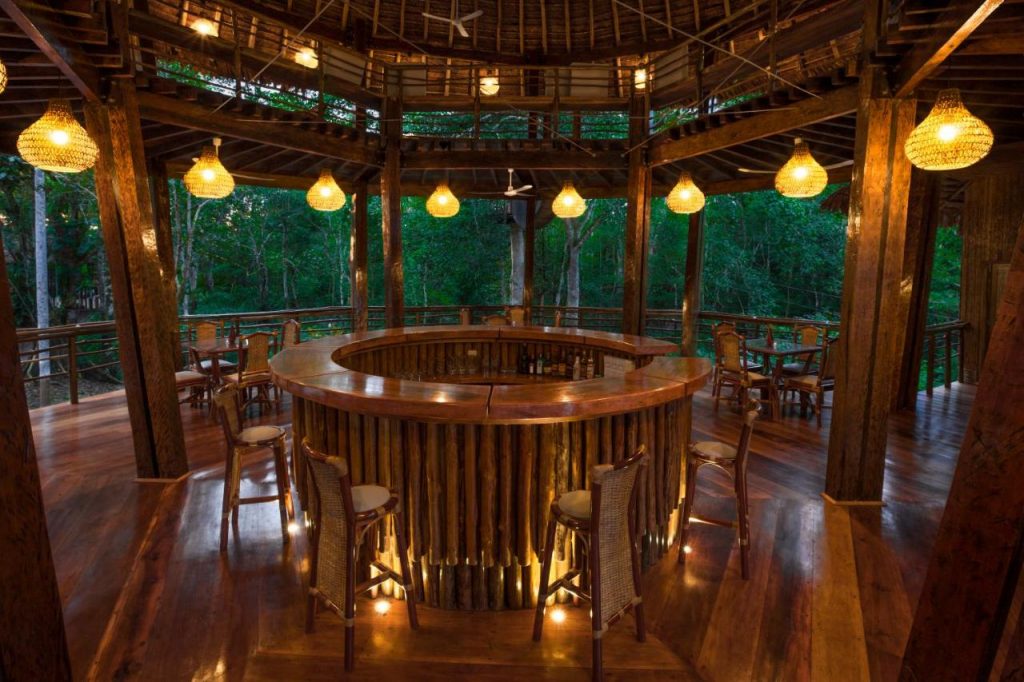 Treehouse Lodge