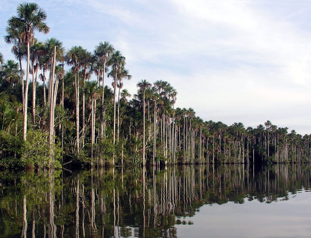 Lago Sandoval - Puerto Maldonado