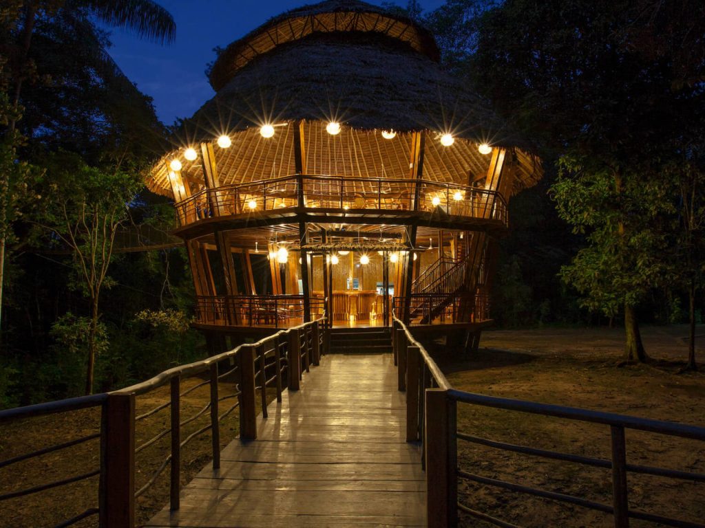 Treehouse Lodge